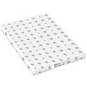 CARTA A3+ SRA3 32X45 100GR 500FG BIANCO DCP