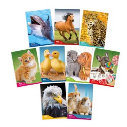 QUADERNONE MAXI 100G DISGRAFIA FANTASIA 10MM 6PZ