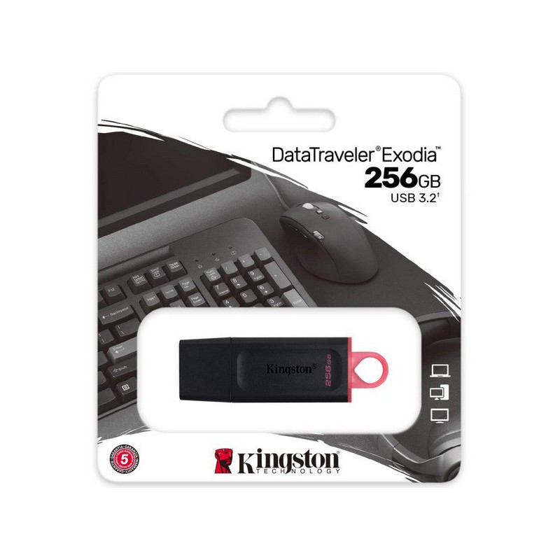 PEN DRIVE 256GB DTX KINGSTON USB 3.2