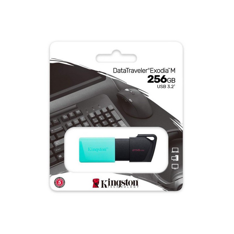 PEN DRIVE 256GB DTXM KINGSTON USB 3.2