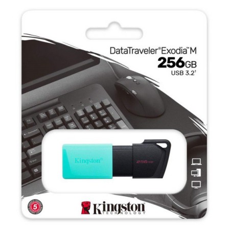 PEN DRIVE 256GB DTXM KINGSTON USB 3.2