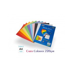 CARTA A4 220GR 100FG MIX COL.ASS. WILER