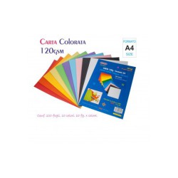 CARTA A4 120GR 100FG MIX COL.ASS. WILER